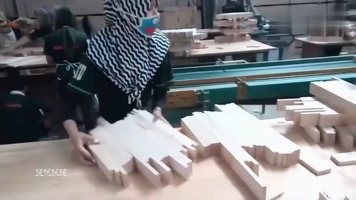 实拍国外木材加工厂 剥皮机展现的高效与高级质感